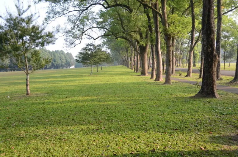 Ω寵物也可這樣玩Ω南投魚池三育基督書院~廣大綠地及優美景色★小精靈胡扯蛋★