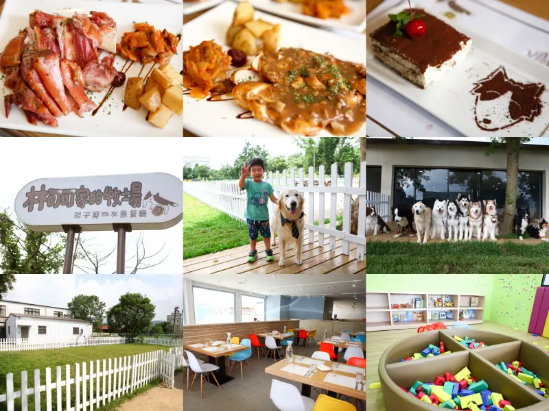 『龍潭美食』林可可家的牧場。親子寵物友善餐廳 X 石管局大草皮旁