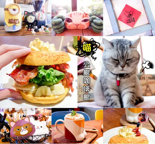 【台北公館早午餐】MinouMinou 早餐 早午餐 咖啡，有萌呆又可愛的貓咪咖啡廳