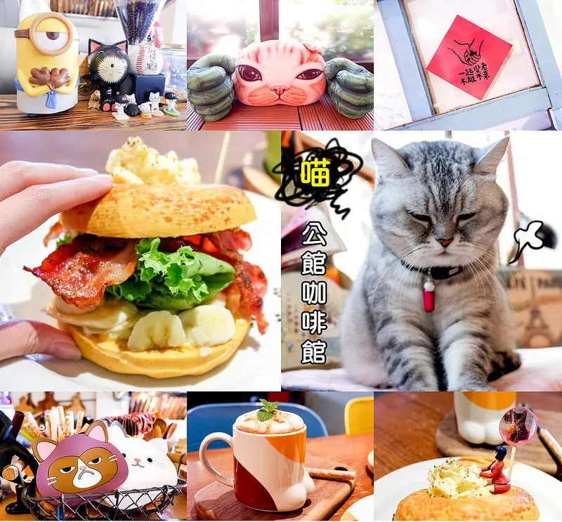 【台北公館早午餐】MinouMinou 早餐 早午餐 咖啡，有萌呆又可愛的貓咪咖啡廳