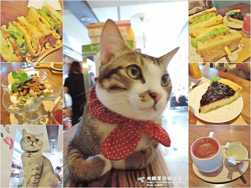 食記。台北★MinouMinou 公館與貓咪一起吃早午餐