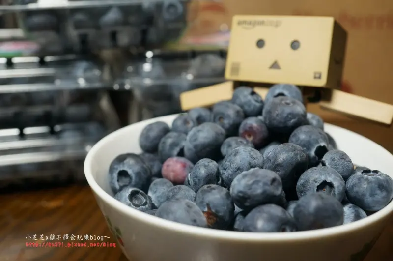 【線上購物】吃過花青素破錶的頂級公爵藍莓嗎? 快來販奇網品嘗限時北美神秘藍寶石的鮮甜滋味！