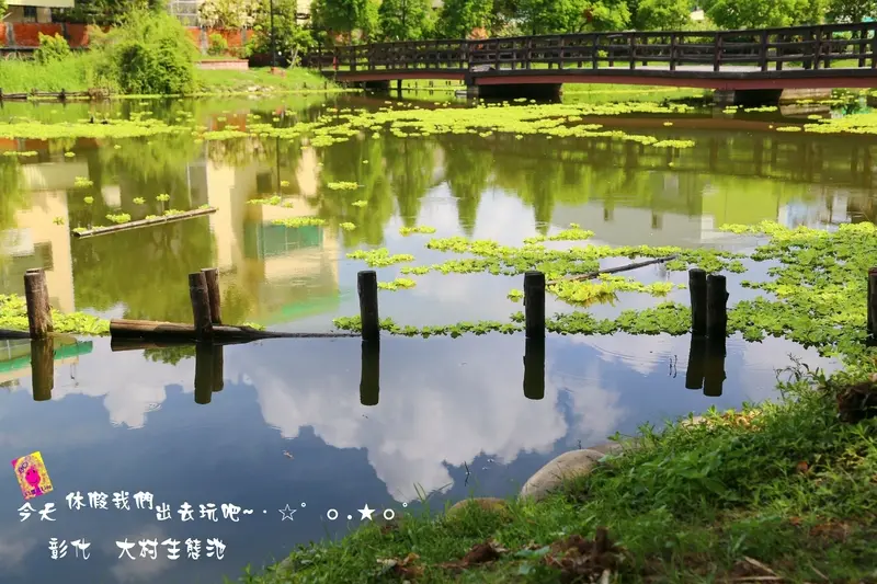 [ 彰化⊙大村 ]平和村祕密花園(生態池)就好比是中部雲山水