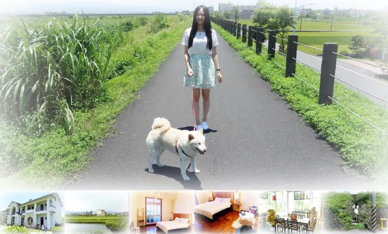 |宜蘭民宿|雲天楓泉+白色柴犬貓咪溫馨民宿+有湧泉、冷泉可戲水 |文末抽免費住民宿|