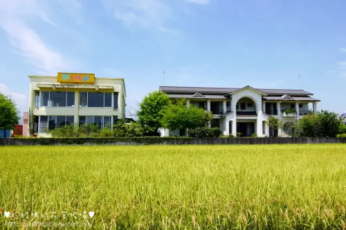 宜蘭冬山民宿：雲天楓泉（湧泉戲水，採香水蓮初體驗）