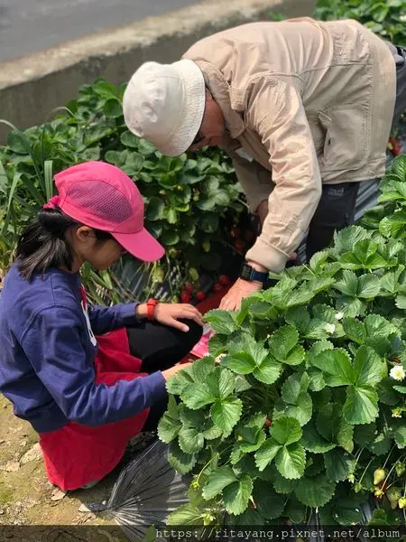【台中住宿】璞樹文旅（Treeart Hotel)－首推首推！