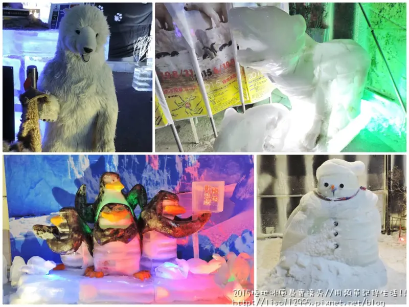 展覽。新北★2015極地冰風暴實境秀 炎熱夏天來感受零下18度低溫