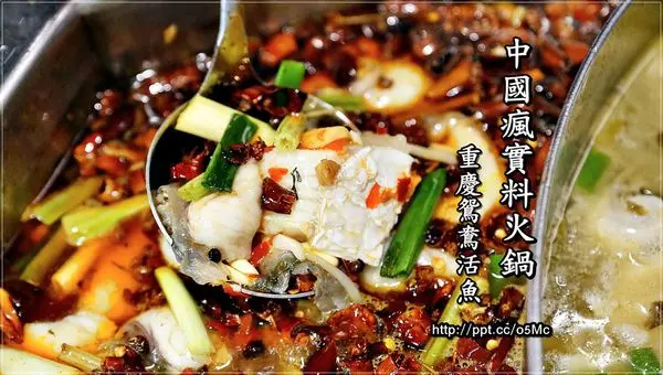 【食記/台北】捷運美食～道地的四川味，你不能錯過的重慶鴛鴦活魚鍋♪♪中國瘋實料火鍋♪♪