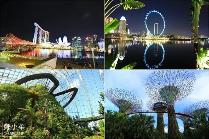 【新加坡旅遊】烏節路聖誕街+濱海灣花園－新加坡自助旅行必去景點推薦|耶誕百貨購物商城|擎天樹叢|花穹Flower Dome|雲霧林Cloud Forest