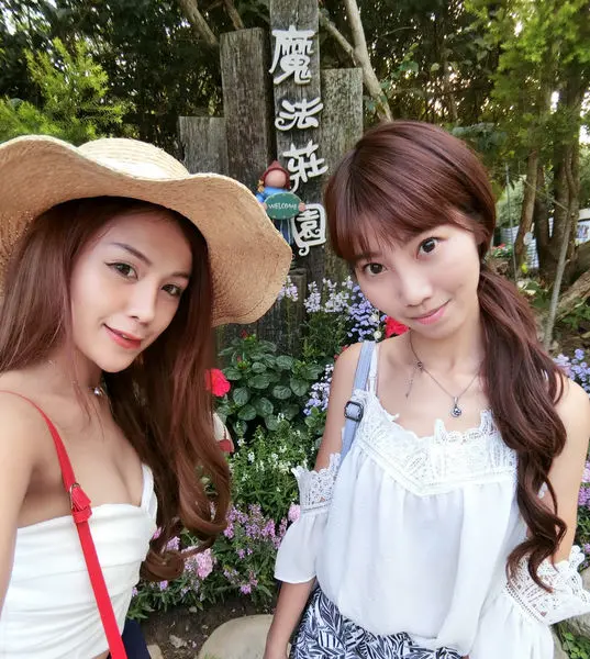 【苗栗景點】精靈的世界villa villa魔法莊園~童話中的木造樹屋彷彿置身北歐