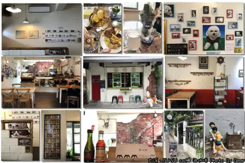 【大溪】「BU-SU Cafe 丑咖啡(BRUNCH/COFFEE/早午餐/寵物友善/老房改建/近中正公園)」