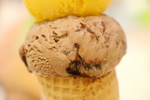 【羽諾食記】紐芝蘭樂活低脂冰淇淋♥New Zealand Natural♥忠孝復興捷運美食