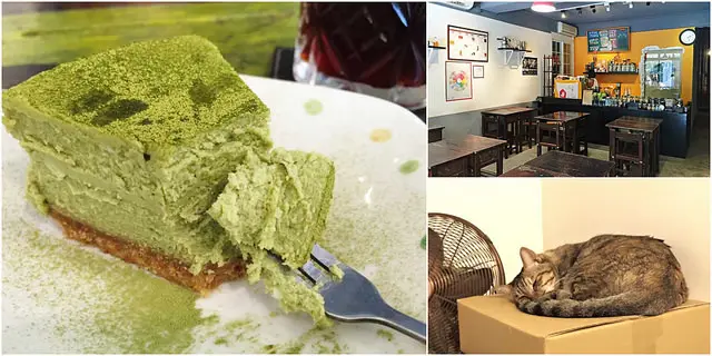 【台北捷運美食】【台電大樓站美食】UNI CAFE：三隻懶貓為伴的氣質咖啡廳