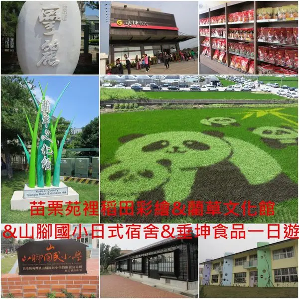 [苗栗苑裡]稻田彩繪週邊景點一日遊,稻田彩繪&藺草文化館&山腳國小日式宿舍&垂坤食品通通一往打進插旗!!!!!