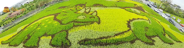 【苗栗旅遊】苑裡-藺草文化館旁油畫田《苑裡彩繪稻田》~侏羅紀公園Q版恐龍(期間限定)