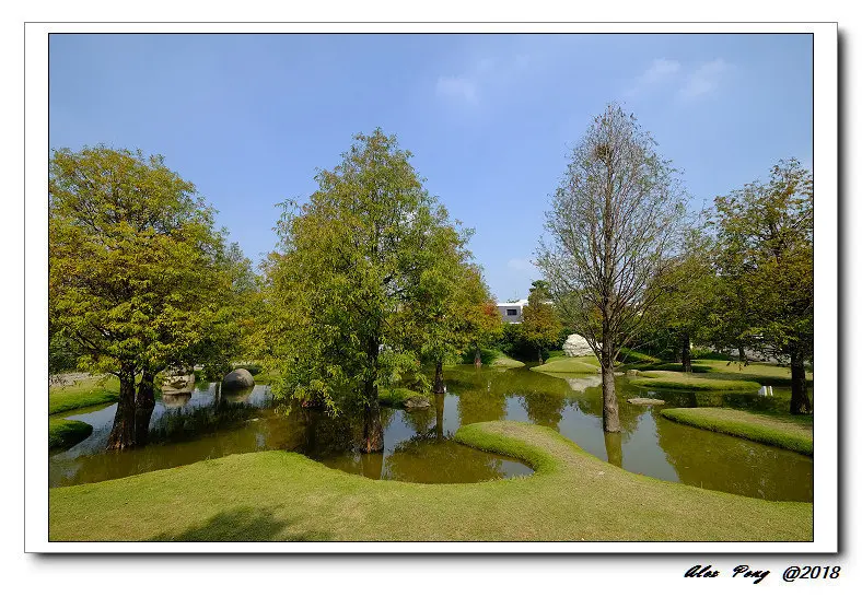 雲林縣-虎尾鎮-青埔落羽松秘境+虎尾王家當歸鴨肉麵線+溝埧好涼冰店+西螺祖傳麻糬大王