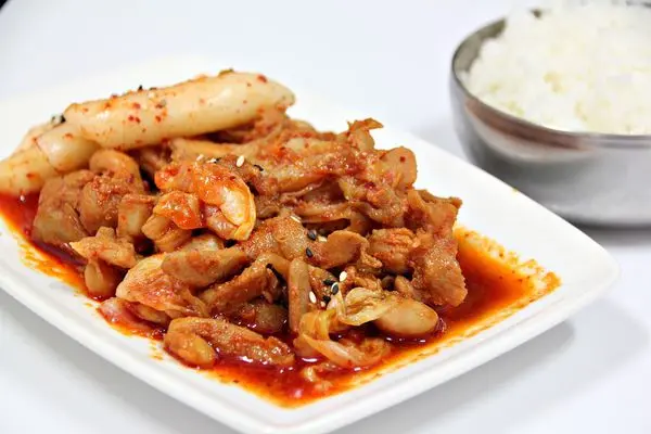 【嗑吧】韓國人做的春川雞腿烤肉