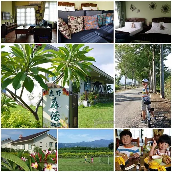 【台東鹿野】鹿野森活B&B民宿。綠草親子房~大草原奔跑+騎腳踏車逛田園+看熱氣球