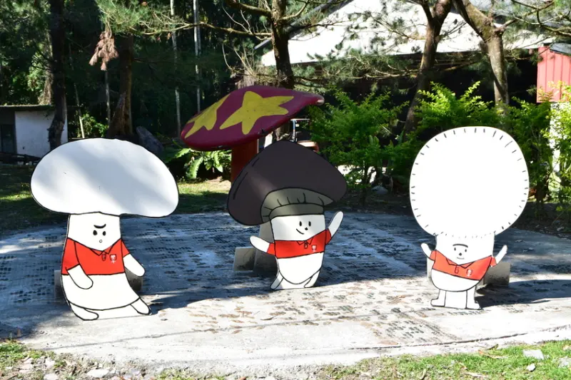埔里旅遊超夯豐年菇菇農場，豐富DIY體驗農場課程安排親子旅遊超適合｜埔里旅遊推薦