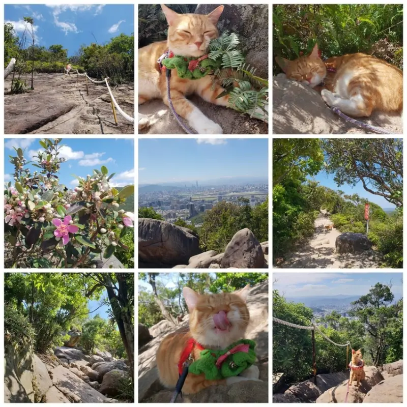 【台北.內湖】金面山步道剪刀石。辛巴蕊初次挑戰大岩壁。360度無死角觀看大台北盆地101+松山機場