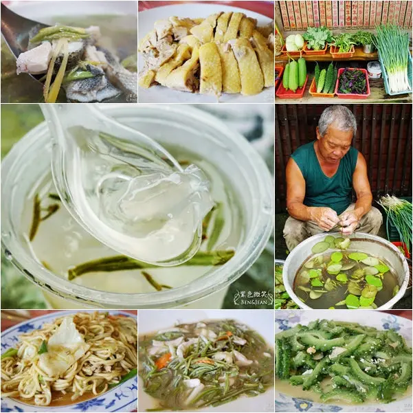 彩燕在地美食▋員山雙連埤~充滿膠質的獨特蓴菜一吃就難忘 