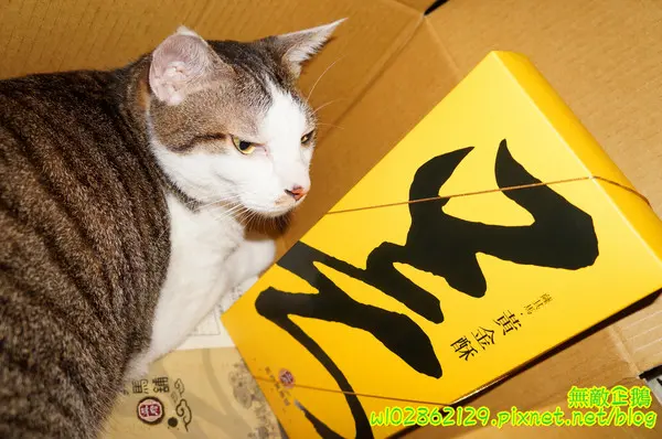 【宅配】黃金x沙其瑪...酥脆good~《吳府其馬舖》        
      