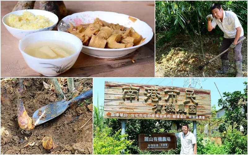 【旅遊參觀】台北。南港區《麗山有機市民農場》認證過的有機農場 南港市民有機農園 (須電話約時間)