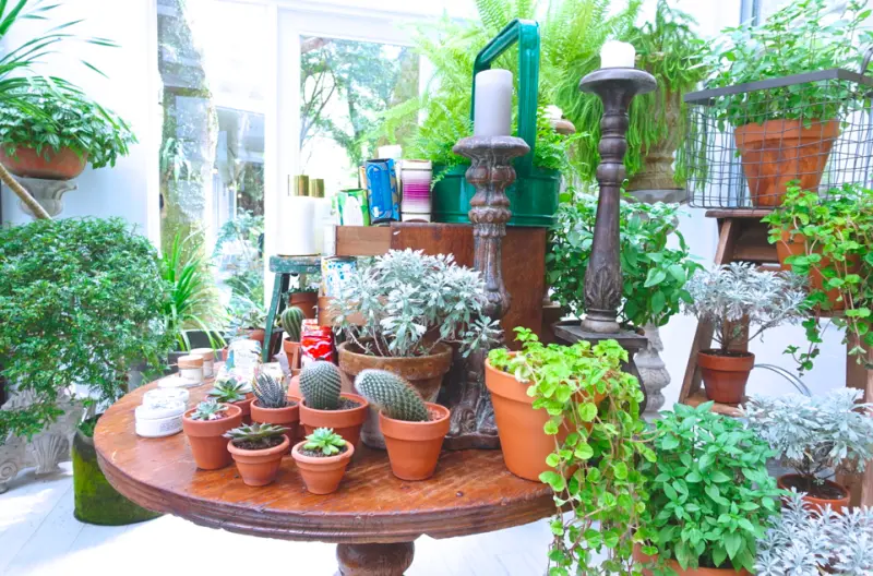 台北士林 隱身在陽明山上的山中書店 VVG好樣秘境 尋找初心的好日子 美麗的相遇品美食享環境