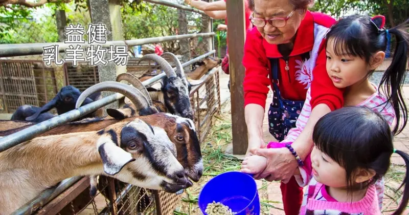 【台中親子景點】台中免門票景點｜益健乳羊牧場～市區就能餵羊、餵雞，牧草飼料只需20元