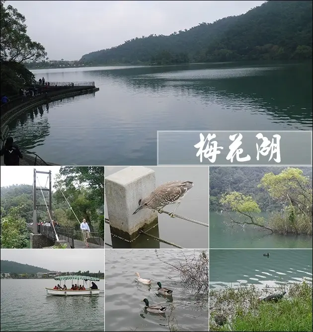 【宜蘭景點】梅花湖(免費參觀)，設有環湖步道、有豐富的湖泊生態、遊湖動力船等，不想走路也能租協力車、電動車環湖喔。宜蘭旅遊 帶著寵物去旅行
