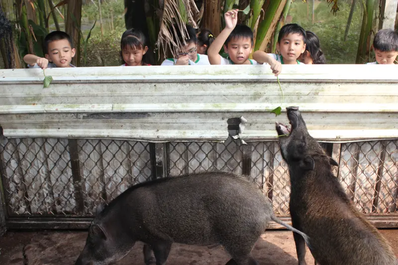 竹寮山觀光酒廠/農場