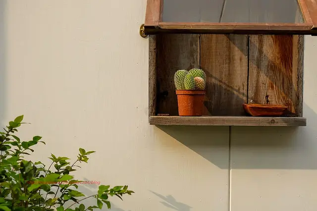 台中美食~春丸餐包製作所 田楽新品牌 自養小麥種天然酵母 口感柔軟與富有彈性的健康餐包 10/7正式開始試賣 吃飽了還可以去附近新的土庫里彩繪牆逛逛照相