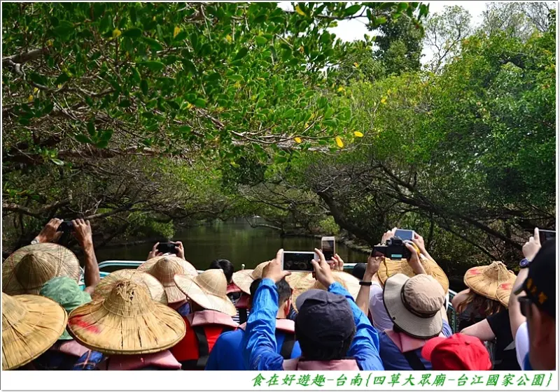 搭乘膠筏觀生態．綠色隧道任你拍，還有小型展覽館可參觀！台南-四草大眾廟．台江國家公園