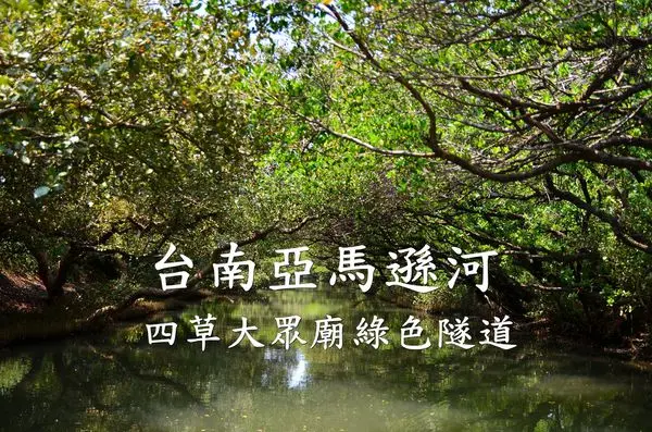 【台南安南區】『四草大眾廟綠色隧道』~台版亞馬遜河，綠色隧道生態之旅。