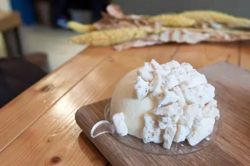 河床法式甜點工作室 Pâtisserie Rivière - 新店舊址的綠意也跟著搬來市區