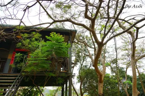 【台南。新化】藝術與山林的結合。五號樹屋（５號樹屋）