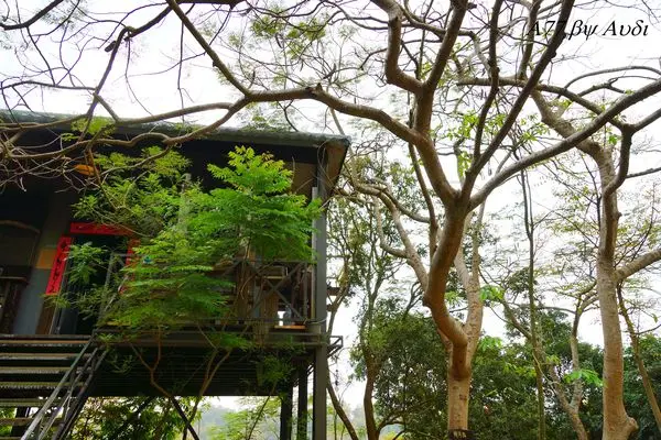 【台南。新化】藝術與山林的結合。五號樹屋（５號樹屋）