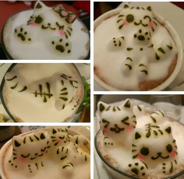 【台中】貓拉花、聚餐、照片一拍就拍上癮的咖啡廳 咕嚕咕嚕貓咖啡-旗艦館