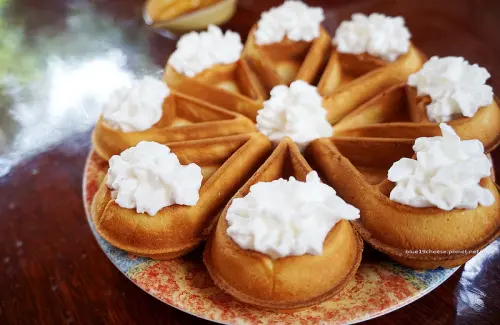 【台中豐原】方定草苑 - 自家庭院咖啡館.咖啡鬆餅手作