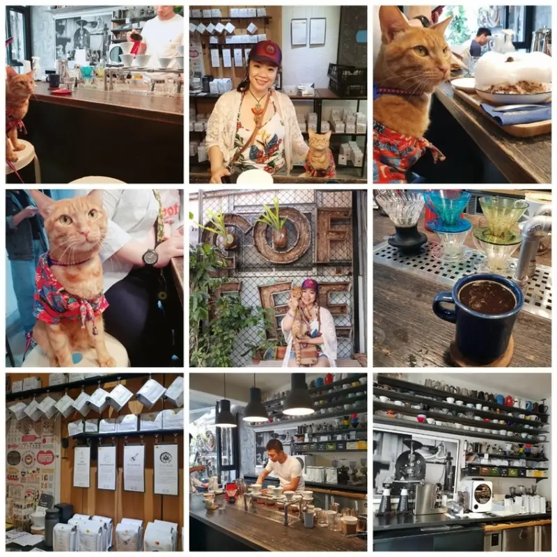 【台中.西區】Coffee stopover超專業文青咖啡店。自家烘焙咖啡超強專業知識。寵物友善咖啡
