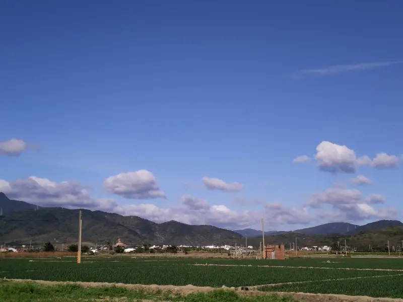 墾丁泊逸--洋蔥拾穗版