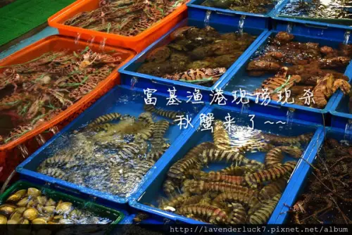 鮮魚蝦蟹全宴-富基漁港春來活海鮮姊妹海景餐廳