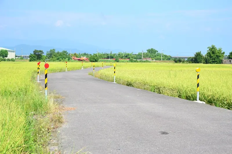 暢遊田園風光，漫步在宜蘭三奇村的伯朗大道!!