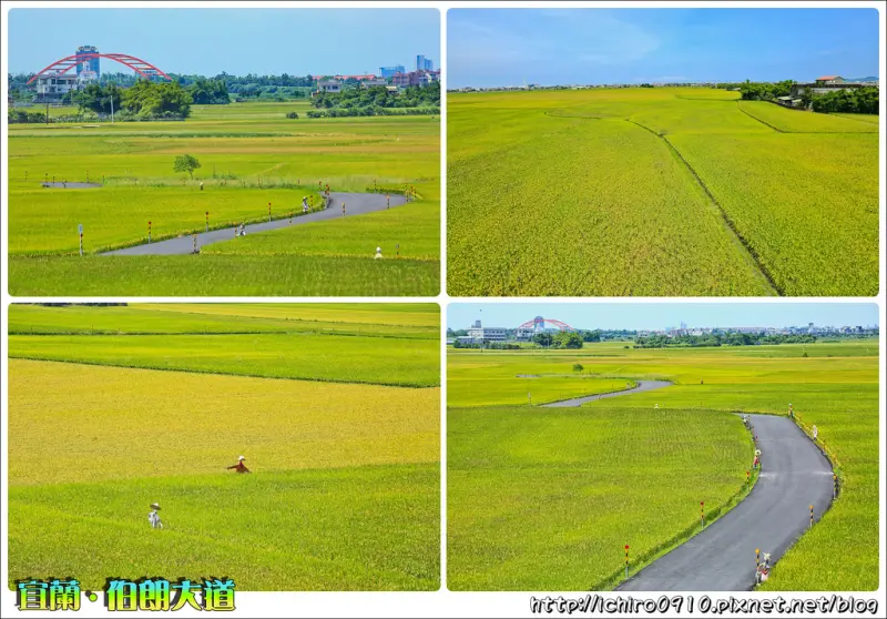 [遊記]【宜蘭縣冬山鄉】2017宜蘭三奇村伯朗大道。金黃稻浪療癒景致│季節限定美景│無邊際金黃稻浪視野│怎麼去/火車/交通/地址/攝影高台開放期間.時間(2017.06.24最新現況)