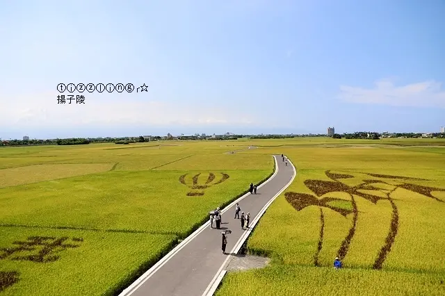 2020宜蘭三奇美徑(冬山伯朗大道)&宜蘭奇淋冰品&2018宜蘭三奇美徑(冬山伯朗大道)&樂屋日本料理&頭城車站阿伯炸蛋蔥油餅～