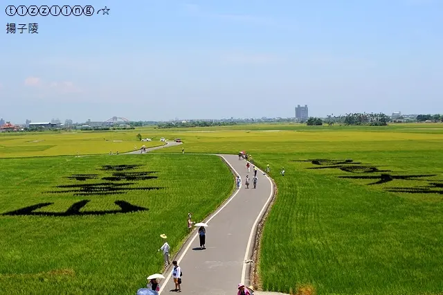 2018宜蘭冬山熱氣球嘉年華。冬山三奇。稻間美徑。黃金海浪來襲&頭城。樂屋日本料理呷中晝～