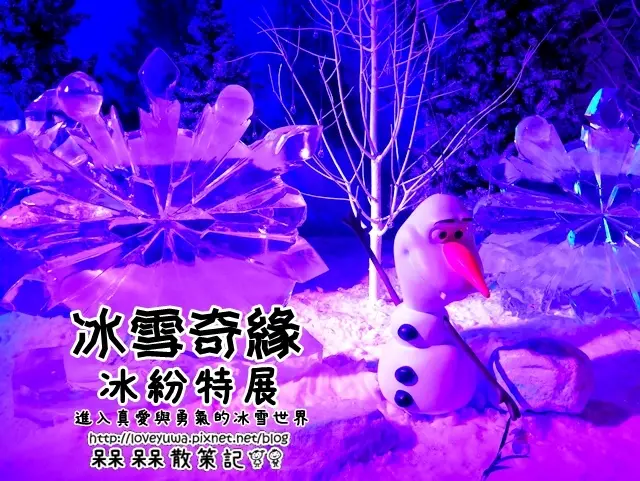 冰雪奇緣 冰紛特展【附贈票活動】｜Let It Go♪~進入真愛與勇氣的冰雪世界，體驗零下八度的寒冷魅力｜DISNEY FROZEN展覽｜迪士尼冰