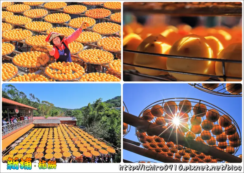 [遊記]【新竹縣新埔鎮】味衛佳柿餅│金漢柿餅。九降風下曬金黃柿餅美景(2016新埔柿餅節10/08~10/09)