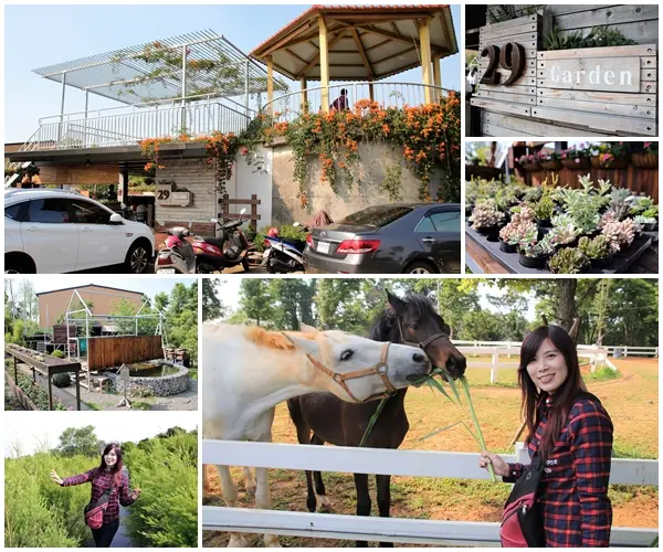 【南投市景點】29號花園咖啡~八卦山139線道景觀餐廳/牧草餵馬/假日限定/澳洲茶樹迷宮/多肉植物              