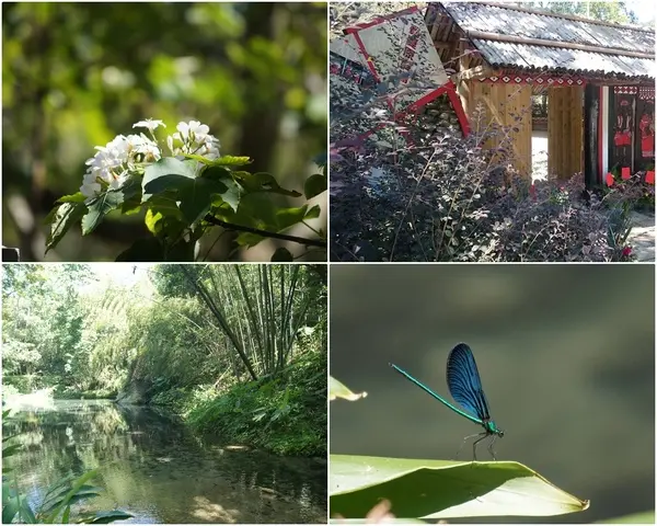 台灣好行南庄線 2日小旅行-八卦力吊橋、嘎嘎毆岸文化部落、四十二份湧泉、蓬萊故事飯包、蓬萊社區發展協會